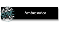 Ambassador